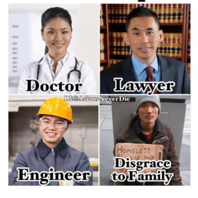 Parental Pressure: The Stories of the Children of African and Asian Immigrants Parental Pressure: The Stories of the Children of African and Asian Immigrants