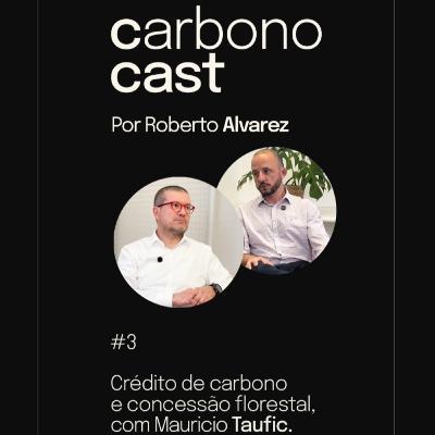 Crédito de carbono e concessão florestal, com Mauricio Taufic.