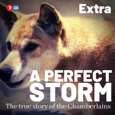 Michael Chamberlain Interview