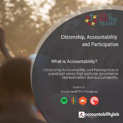 Citizenship, Accountability and Participation: Accountability