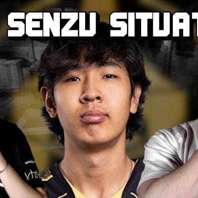 The Senzu Situation The Senzu Situation