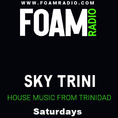 DJ SKY TRINI THE REMIXES