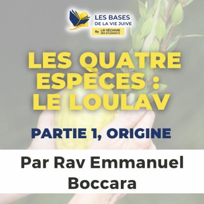 Les quatre espèces - le Loulav, partie 1, Origine