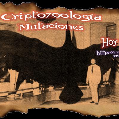 022 Criptozoología, Mutaciones y el dos de octubre Lecumberri 022 Criptozoología, Mutaciones y el dos de octubre Lecumberri