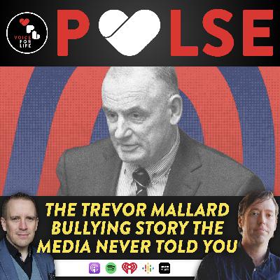 The Trevor Mallard Bullying Story the Media Never Told You The Trevor Mallard Bullying Story the Media Never Told You