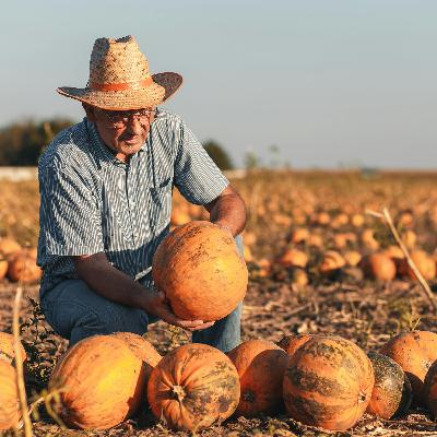 EntreNosotros | A mí, dame calabazas... EntreNosotros | A mí, dame calabazas...