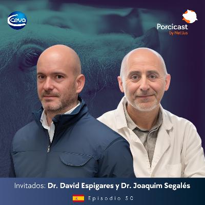 #50 - PCV2 y Mycoplasma: Dos desafíos que no dan tregua - Dr. Joaquim Segalés y Dr. David Espigares