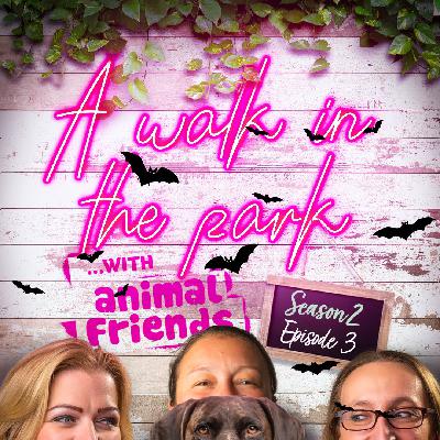 A purr-fectly spooky special; feline frolics, facts and friendly advice!