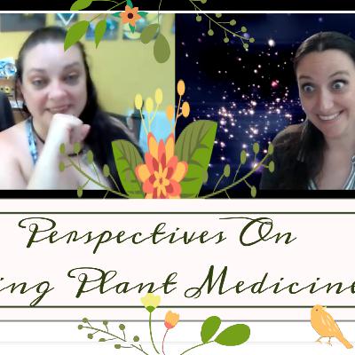 Perspectives on Using Plant Medicines