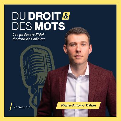 Télétravail à l'international : Comment minimiser les risques ?