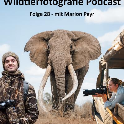 Wildtierfotografie Podcast - Folge #28 mit Marion Payr