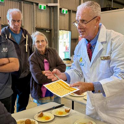 Peter Tisdell Egg Judge