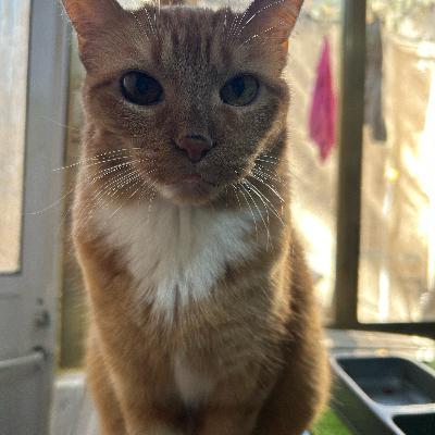 Deja de sobrevivir y empieza a vivir Deja de sobrevivir y empieza a vivir