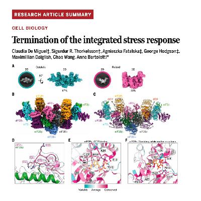 700-Termination of the Integrated Stress Response 700-Termination of the Integrated Stress Response