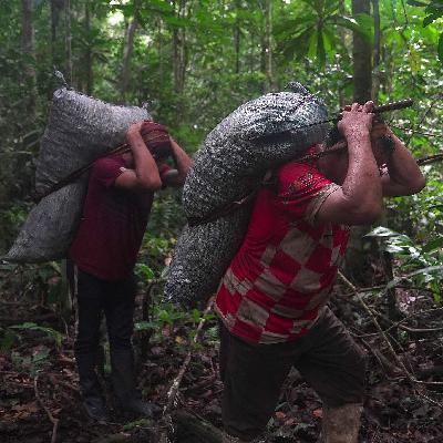 A China-Brazil green pact for planet and food security