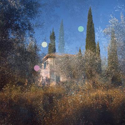 Brise d’Été | Feuilles Frémissantes