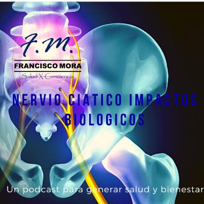 Nervio Ciatico, los conflictos biológicos emocionales