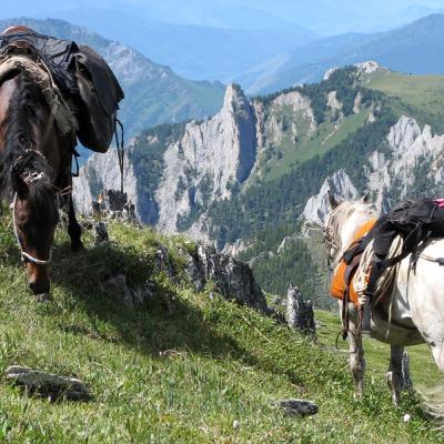 31. Sent to Siberia - Joanna Dobson 31. Sent to Siberia - Joanna Dobson