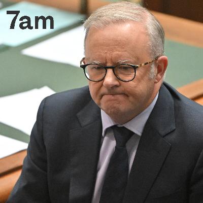 Is now the time for Albo to be bold?