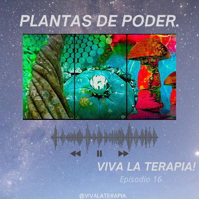 Episodio 16. Plantas de Poder- 1