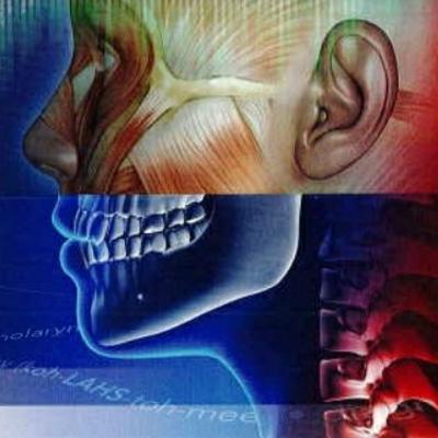 Medical Terminology for Health Professions, Chapter Seven: The Respiratory System