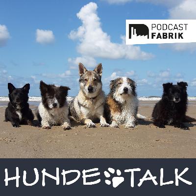 Wann ist ein Hund gefährlich? Wann ist ein Hund gefährlich?