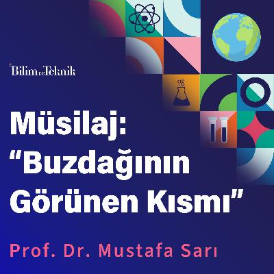 Bir Çevre Sorunu Olarak Müsilaj: Nedenleri, Etkileri ve Önleme Yolları