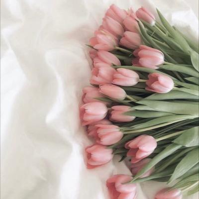 I need to define the love it self