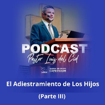 El Adiestramiento de Los Hijos (parte III) El Adiestramiento de Los Hijos (parte III)