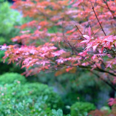 正確減肥篇第三 : 錯誤的方法