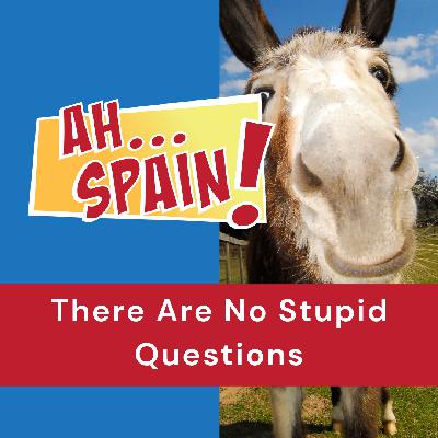 There Are No Stupid Questions There Are No Stupid Questions
