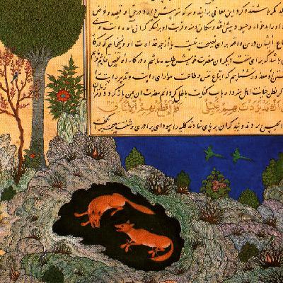 گزیده حکایت های کلیله و دمنه گزیده حکایت های کلیله و دمنه