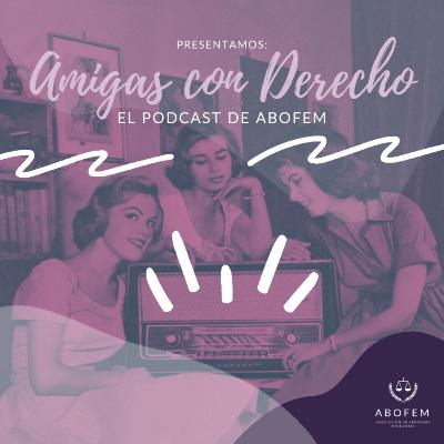 Derechos sociales con perspectiva feminista