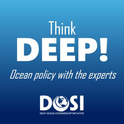 Marine Carbon Dioxide Removal