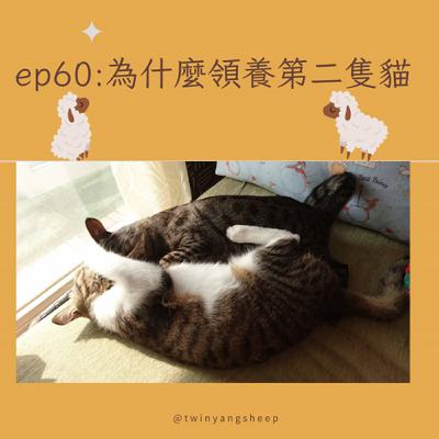 ep60: 為什麼領養第二隻貓？