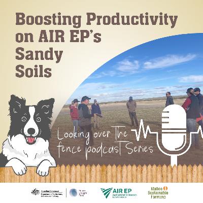 Boosting Productivity on AIR EP's Sandy Soils Boosting Productivity on AIR EP's Sandy Soils