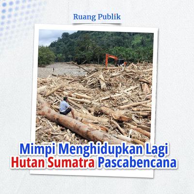 Mimpi Menghidupkan Lagi Hutan Sumatra Pascabencana