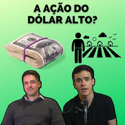 SLC Agrícola: A ação à prova de crises? - Bastidores da Bolsa #18 | Tio Huli