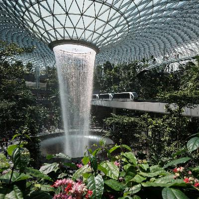 Eco-Civilisation: the future we deserve and how we will get there with Jeremy Lent