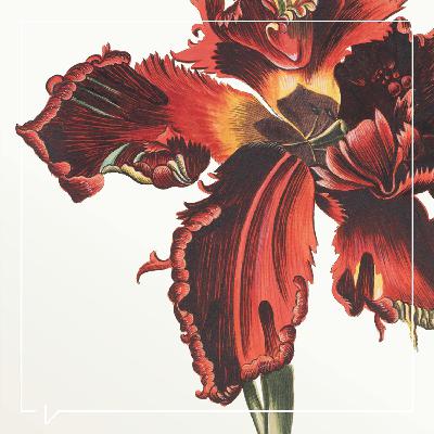 The Gorgeous Nothings: Flowers at Chatsworth, with Lady Burlington The Gorgeous Nothings: Flowers at Chatsworth, with Lady Burlington