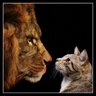 Episode 43 – We Haven’t Eaten Each Other Enough