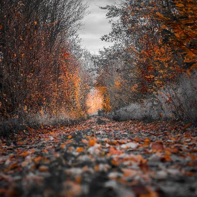 How attitude impacts in your life