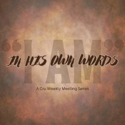 "I Am the Light of the World" (In His Own Words, part 2) "I Am the Light of the World" (In His Own Words, part 2)