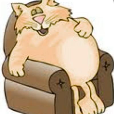 "TRIPÓN EL GATO PANZUDO"