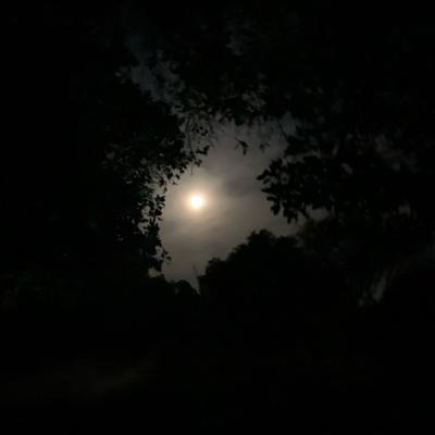 Escucha tu cuerpo Escucha tu cuerpo
