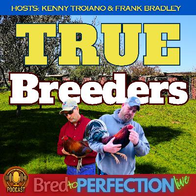 Ep245 - Embrace the Journey – The Benefits and Challenges of Becoming a True Breeder