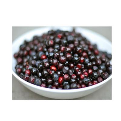 The Big Sky Boys go huckleberry picking