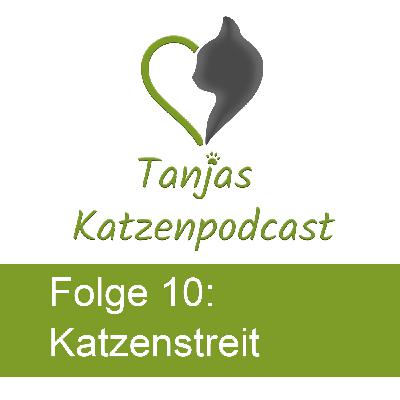 Wenn sich Katzen plötzlich nicht mehr verstehen