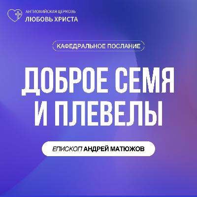 ДОБРОЕ СЕМЯ И ПЛЕВЕЛЫ | ЕПИСКОП АНДРЕЙ МАТЮЖОВ