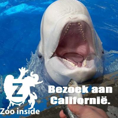 From Sales to Brand Management with Sayani Bagchi | The Marketing Tintin S2